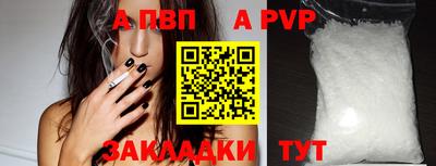 гашик Тара