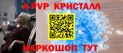гашик Тара