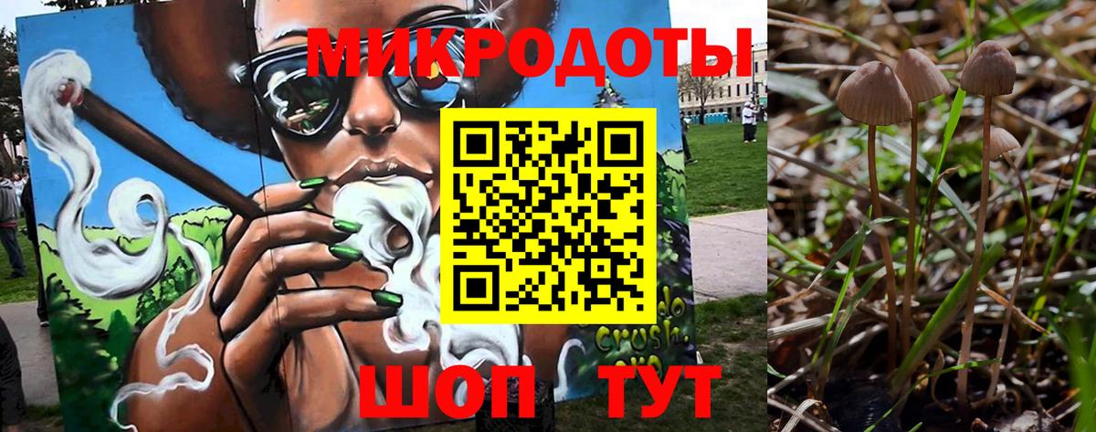 Дальнереченск  где можно купить наркотик  Вход с VPN  Псилоцибиновые грибы Magic Shrooms 