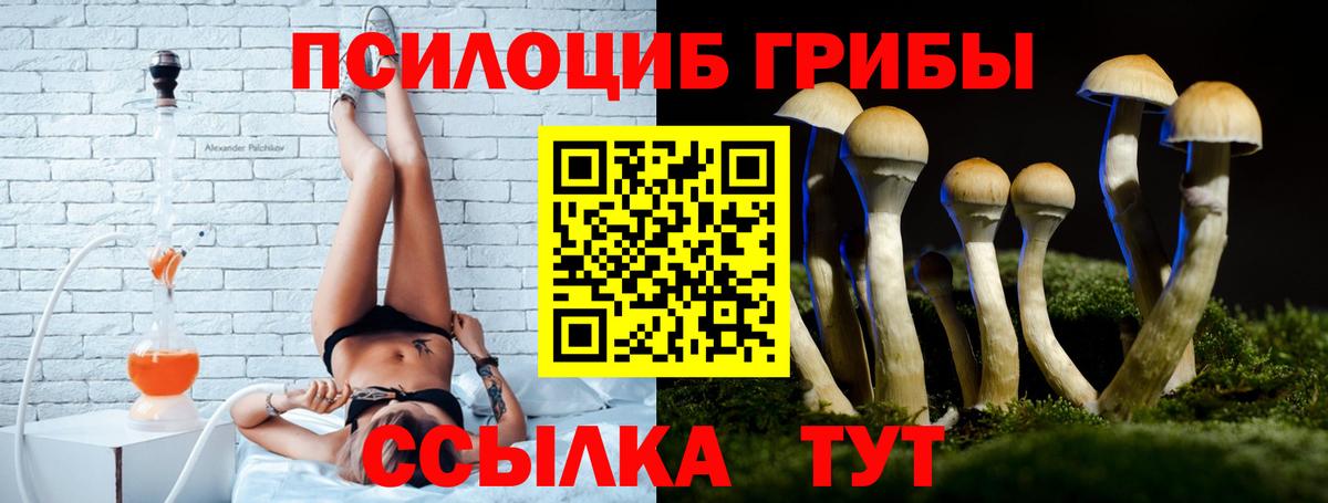 Галлюциногенные грибы Magic Shrooms Дальнереченск